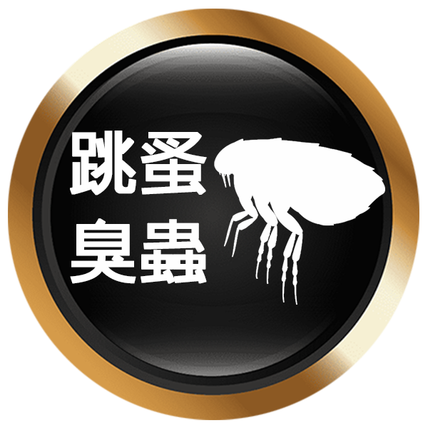 跳蚤 臭蟲防治