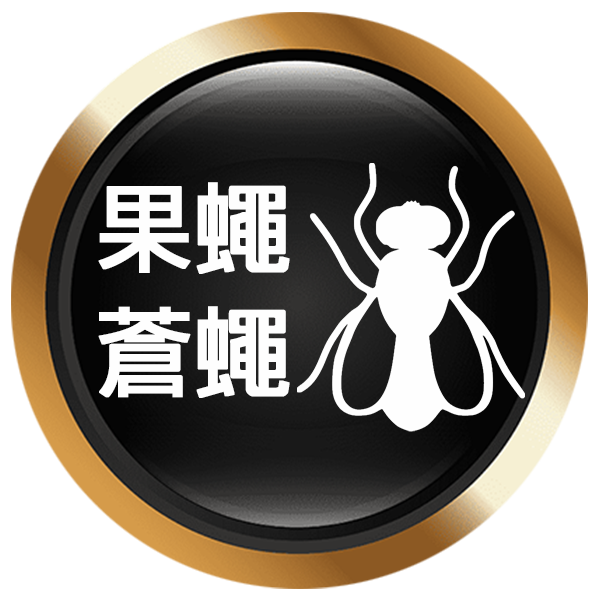 果蠅 蒼蠅防治