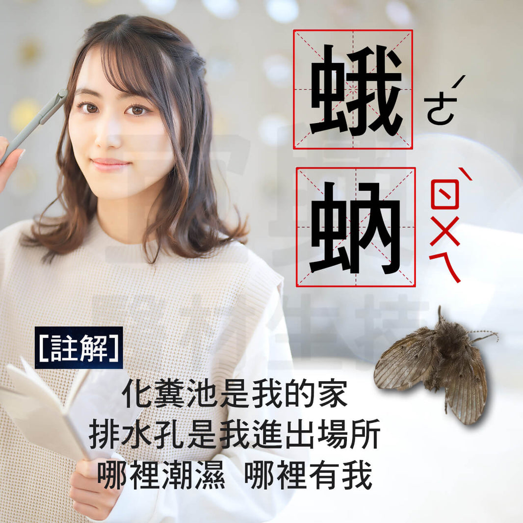 速必效 穩無蠓 昆蟲生長調節劑 20g/包 防治 蛾蚋 蚊子 孑孓 廁所 浴室 排水口