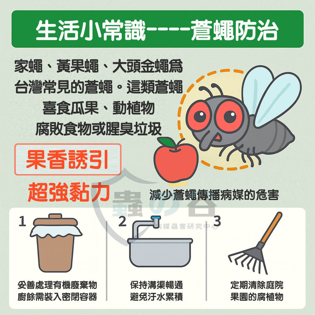 尚介黏 果香誘引 黏蠅紙 黏蠅板 黏蟲 5片/包