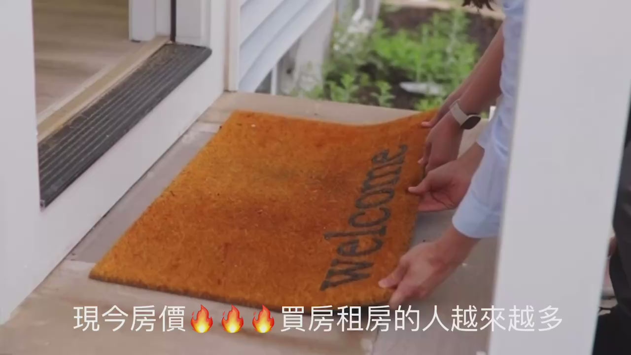 護木靈 1000ml  防治 蛀蟲 白蟻 粉囊蟲 木蠹蟲